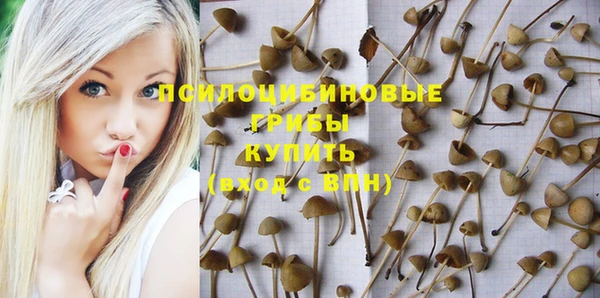 марки nbome Козловка