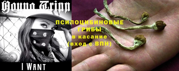 бошки Кинешма