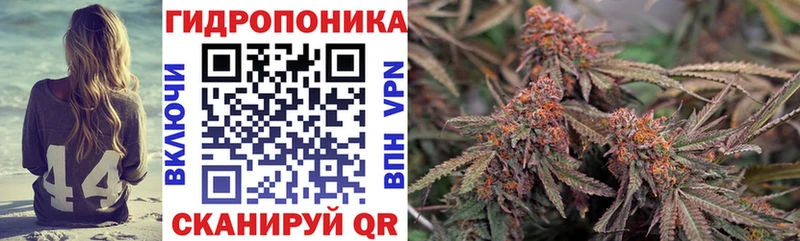 Бошки марихуана гибрид  Купить  Богородск 